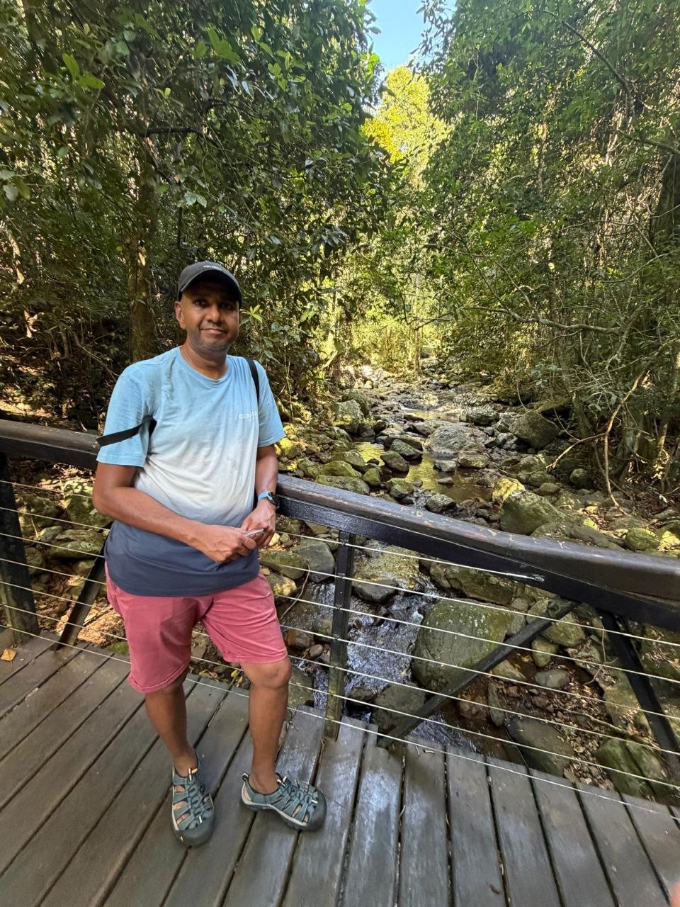 Forest bridge