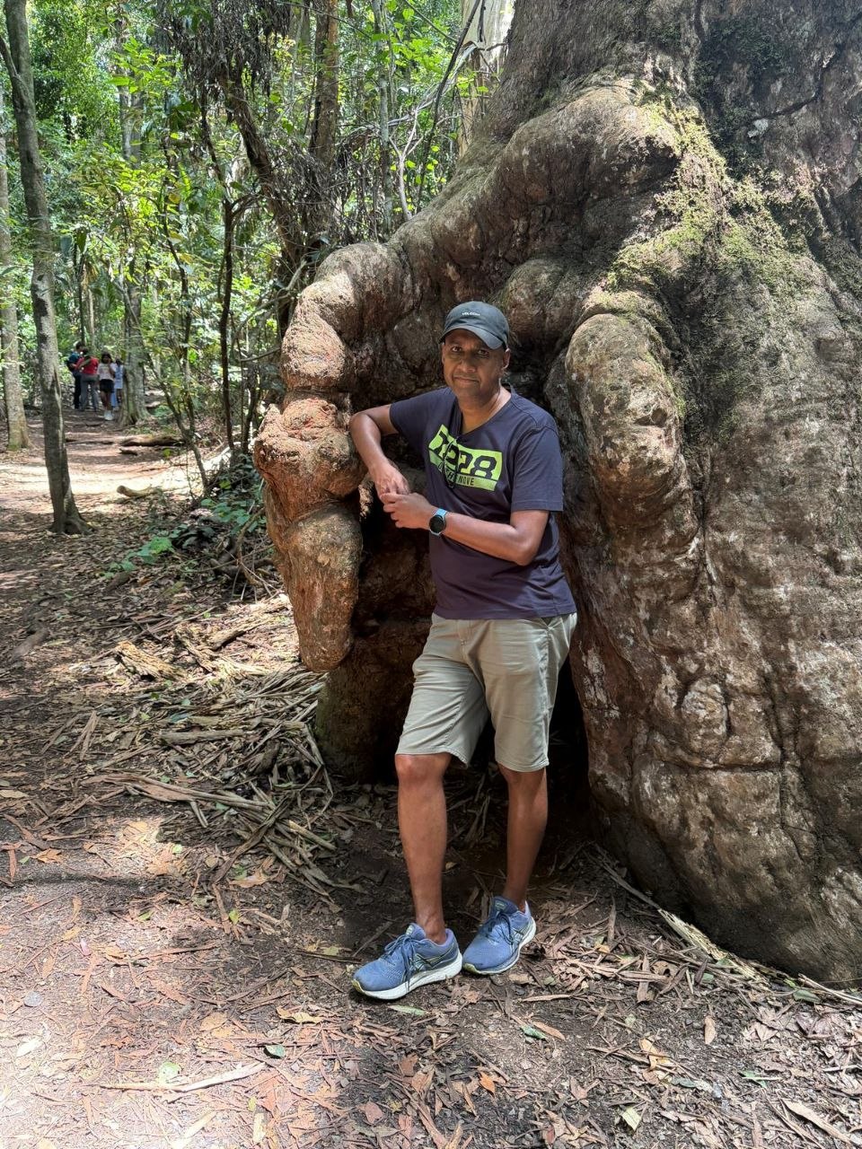 Hand tree